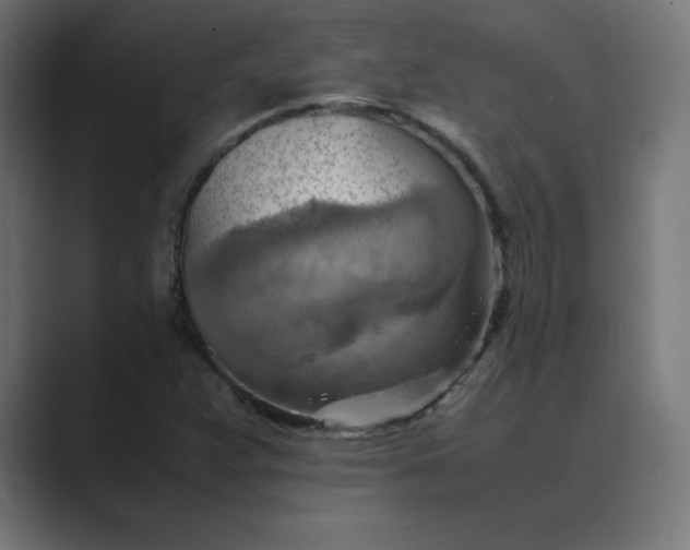 X0000089371359200706291240