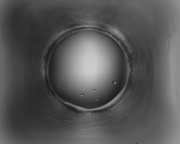X0000089371360200706291240
