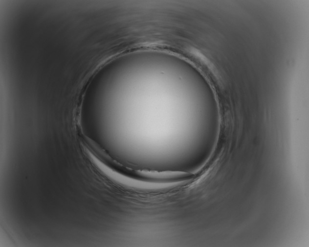 X0000089371361200706291240