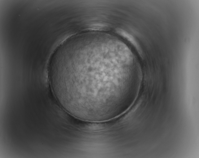 X0000089371362200706291240