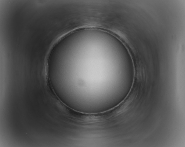 X0000089371366200706291240