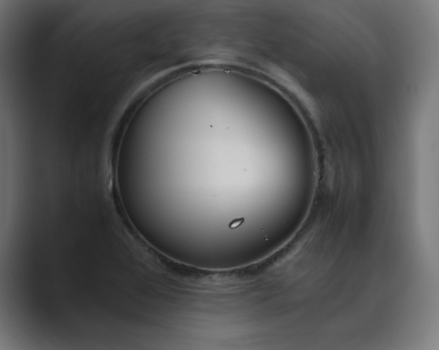 X0000089371368200706291240