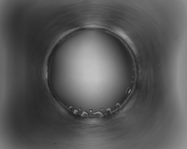 X0000089371376200706291239