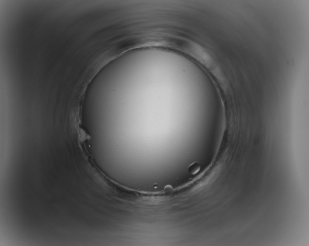 X0000089371377200706291239