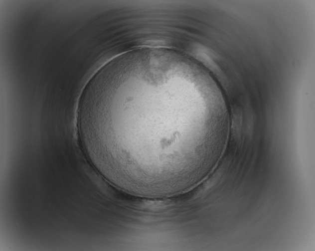 X0000089371378200706291239