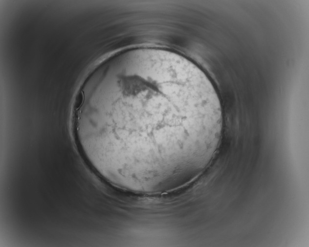 X0000089371379200706291239