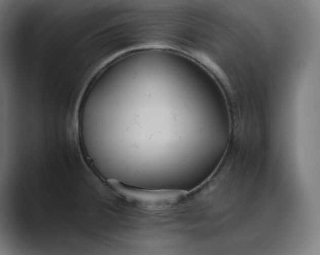 X0000089371380200706291239