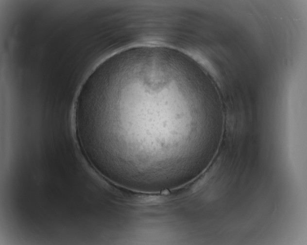 X0000089371382200706291239