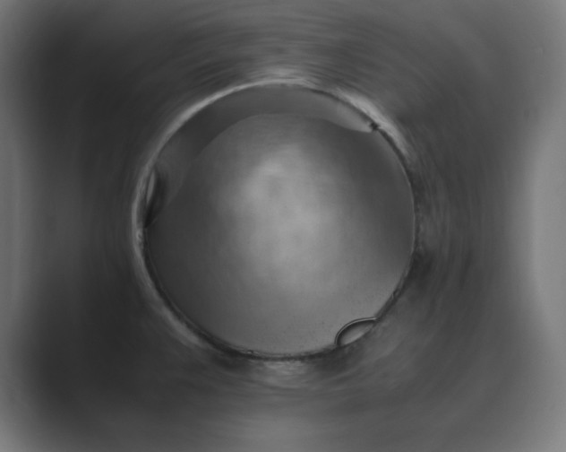 X0000089371383200706291239