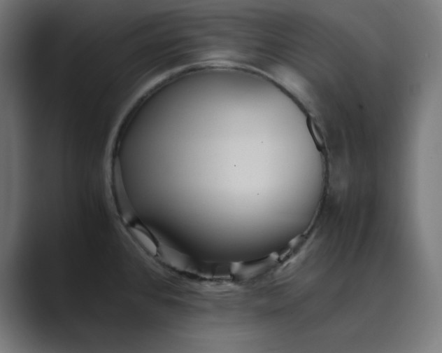 X0000089371384200706291239
