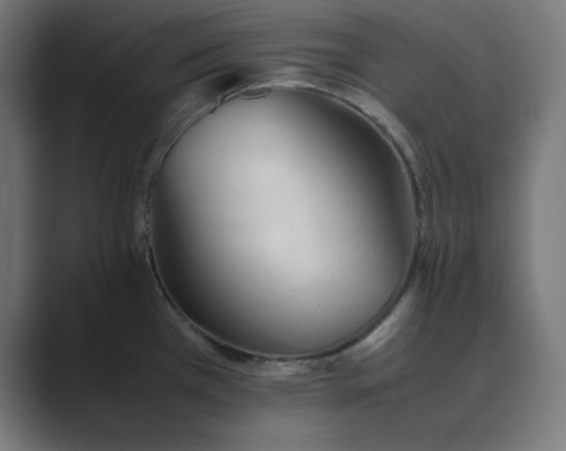 X0000089371385200706291239