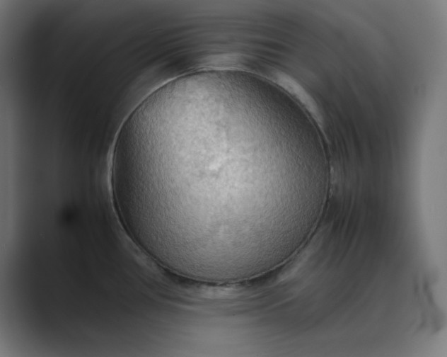 X0000089371386200706291239