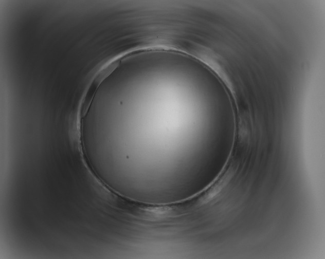 X0000089371388200706291239
