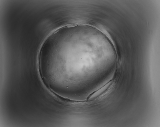 X0000089371389200706291239