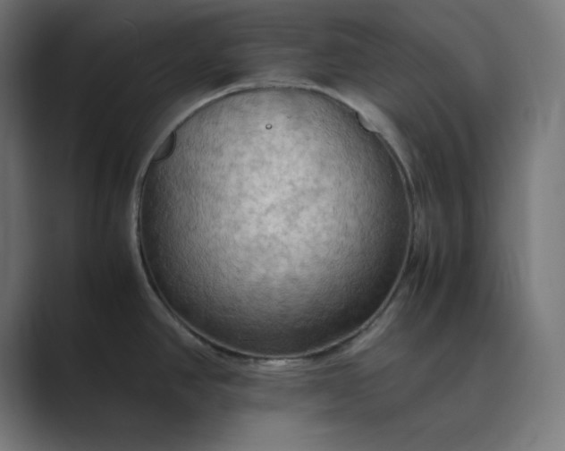 X0000089371390200706291239