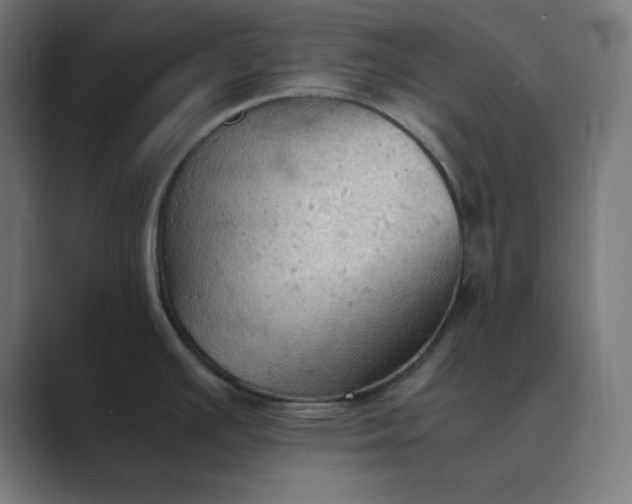 X0000089371391200706291239