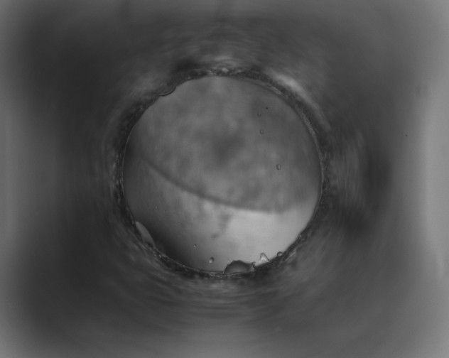 X0000089371399200706291239