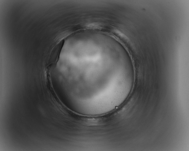 X0000089371401200706291239