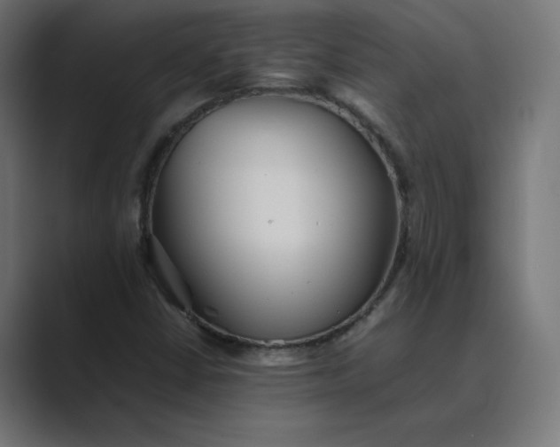 X0000089371402200706291239