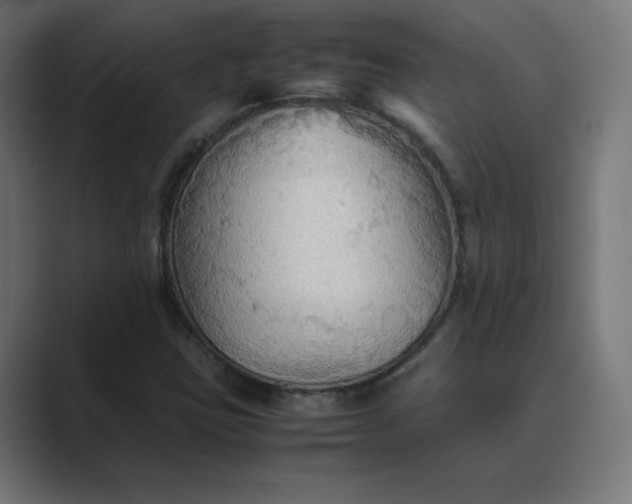 X0000089371403200706291239