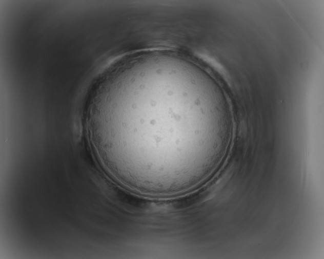 X0000089371407200706291239