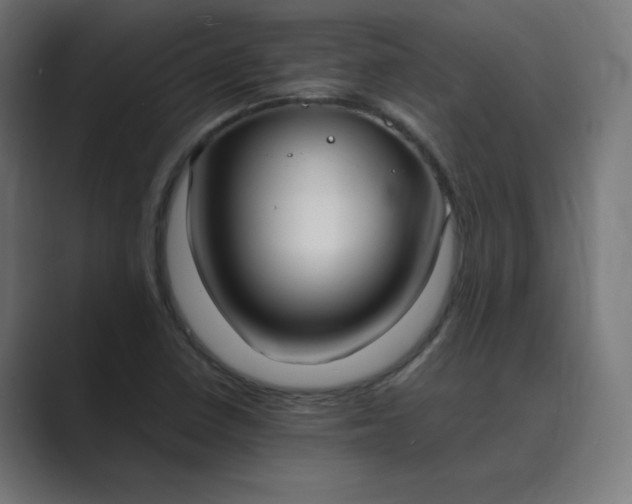 X0000089371410200706291239