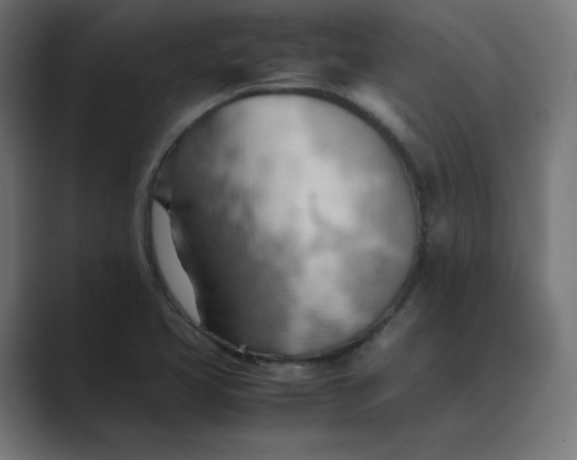 X0000089371413200706291239