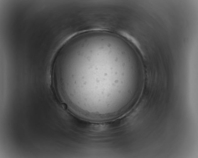 X0000089371415200706291239