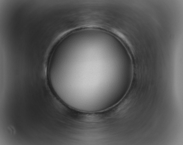 X0000089371416200706291239