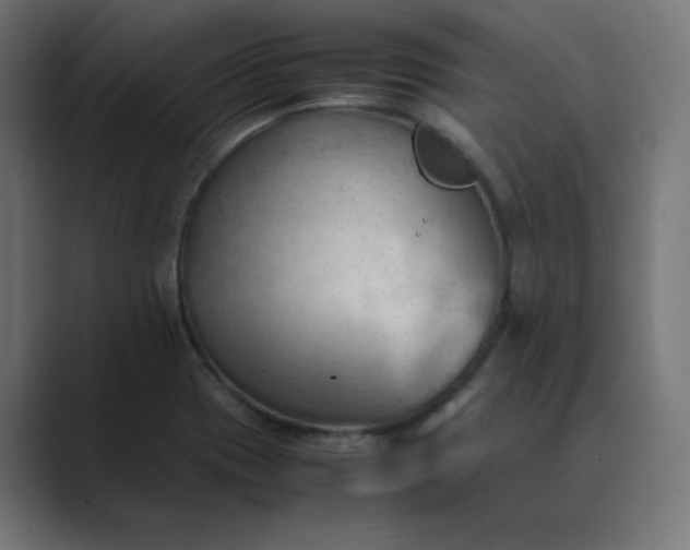 X0000089371417200706291239