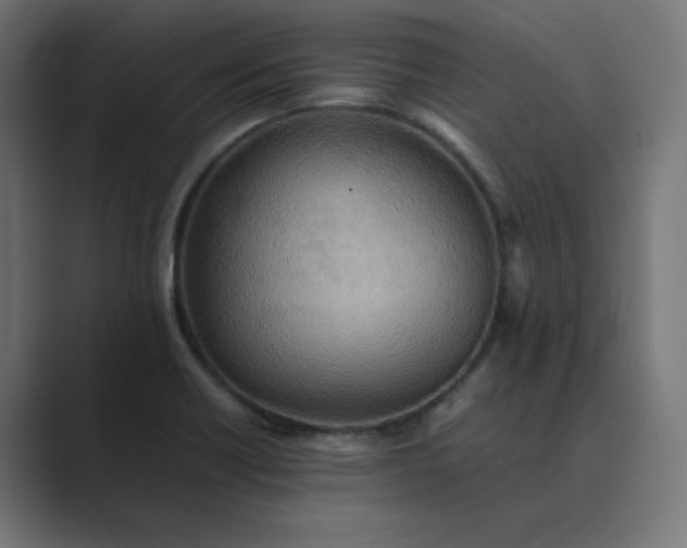 X0000089371418200706291239