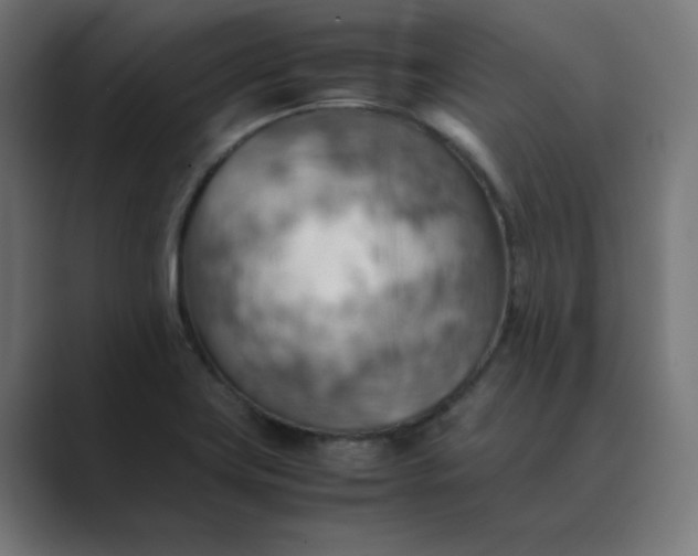 X0000089371419200706291239