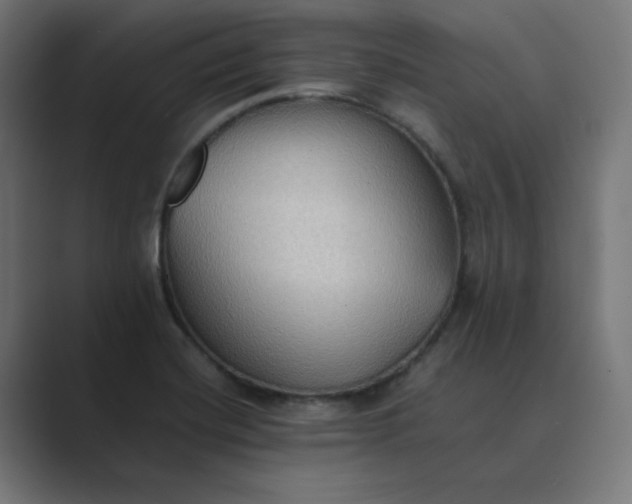X0000089371420200706291239