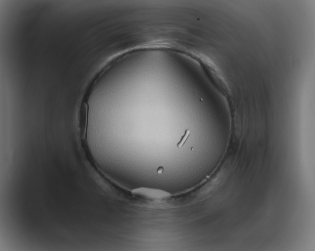 X0000089371422200706291239