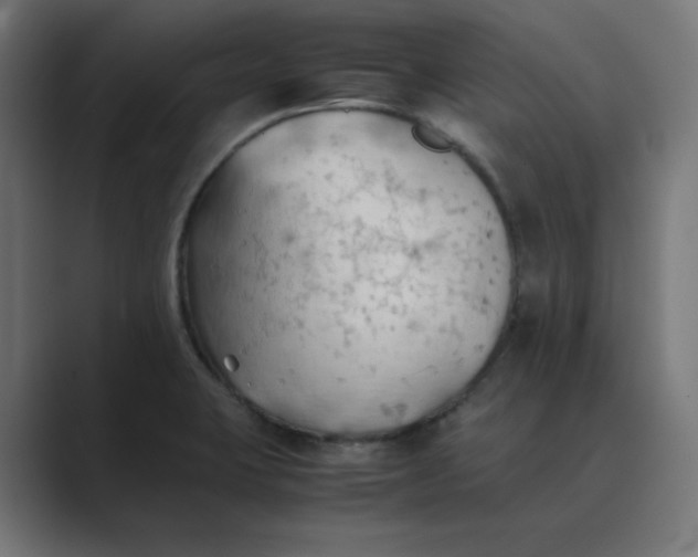X0000089371423200706291239