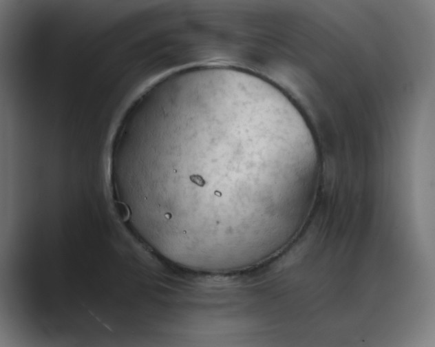 X0000089371424200706291239