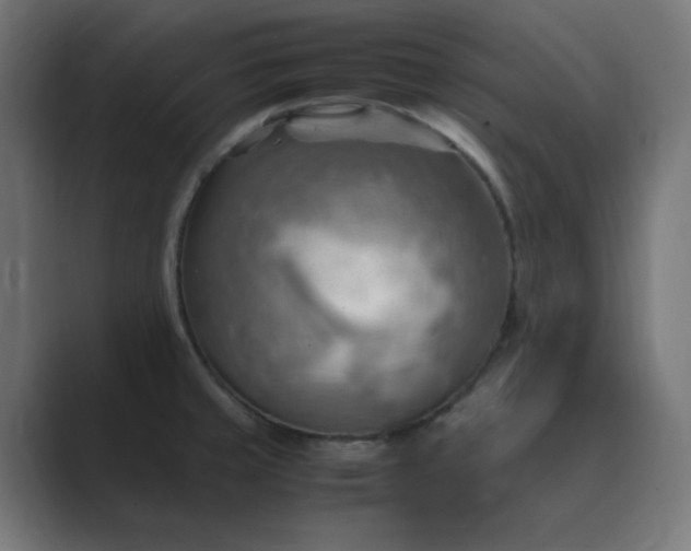 X0000089371429200706291239