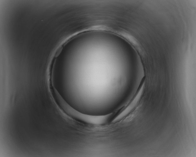 X0000089371430200706291239