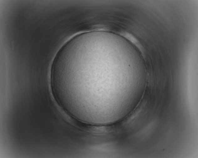 X0000089371431200706291239