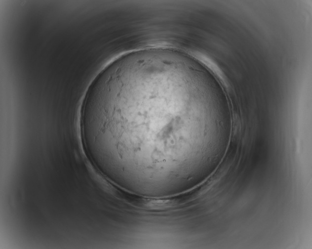 X0000089371439200706291239