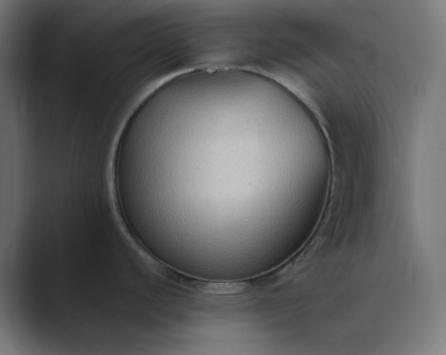 X0000089371440200706291239