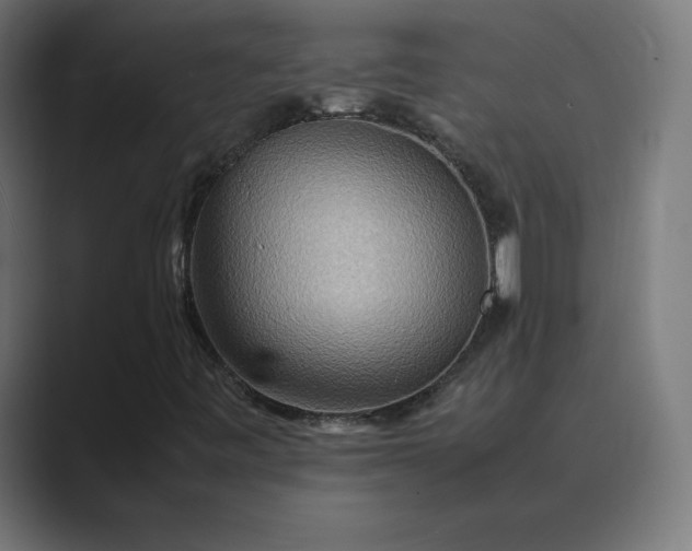 X0000089371443200706291239