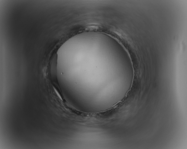 X0000089371445200706291239