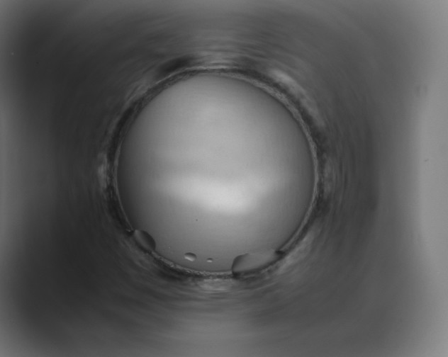 X0000089371449200706291239
