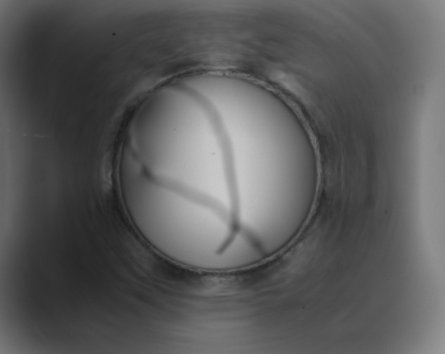 X0000089371451200706291239