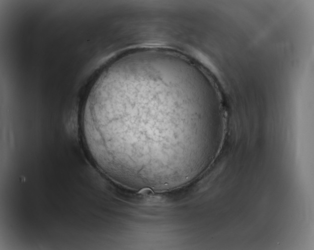 X0000089371456200706291238