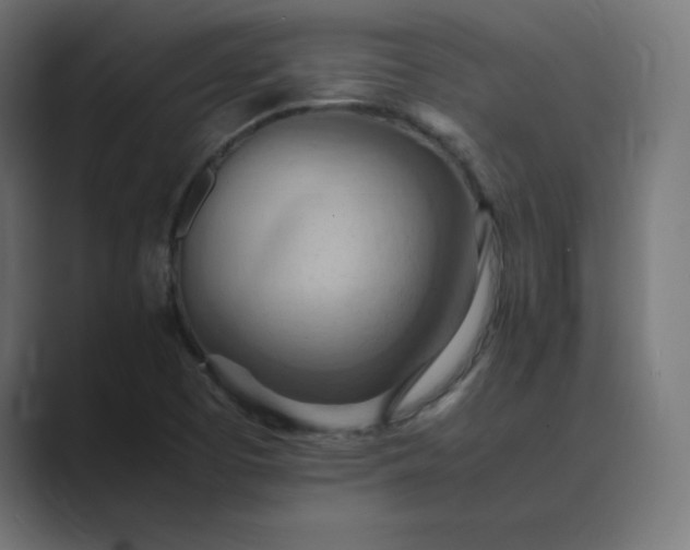 X0000089371457200706291238