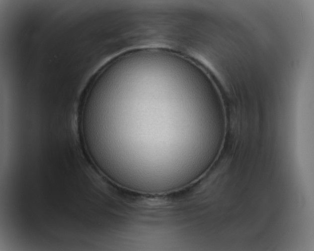 X0000089371460200706291238