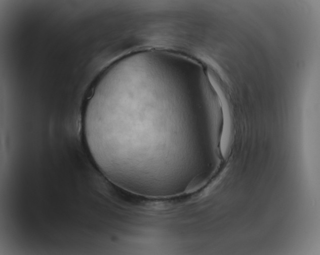 X0000089371461200706291238