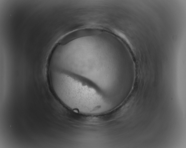 X0000089371463200706291238